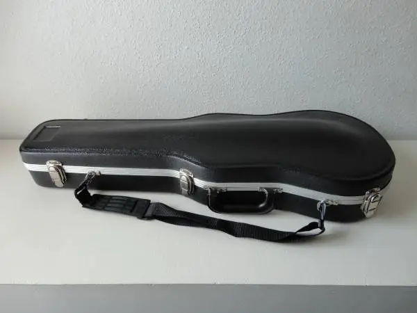 Nice SKB Viola Case