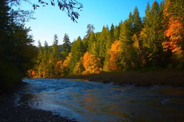 Volunteer Camp Host - River Bend County Park