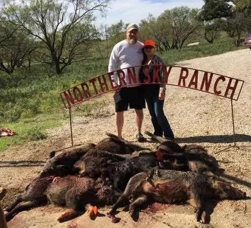 Wild Hog Hunt