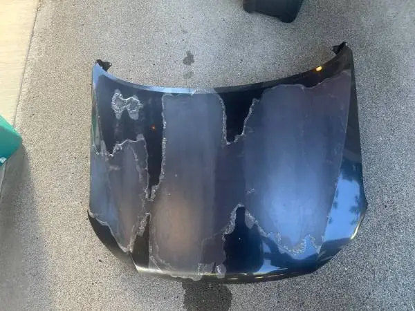 Subaru forester hood