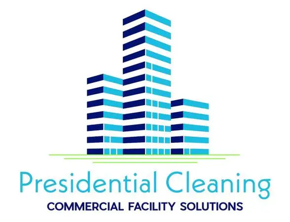 Professional Cleaner