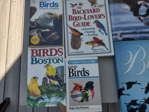 9 books on Bird Watching and Ornithology
