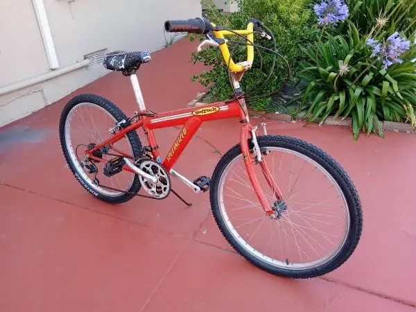 Restored 1999 Specialized Hotrock, Youth 21-speed Bike 24 rims