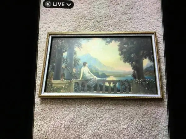 1920’s woman on porch rail, picture, by Atkinson Fox