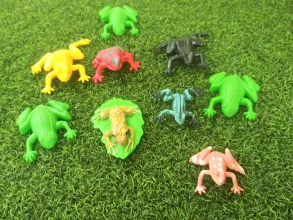 Frogs lot