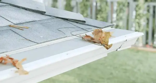Gutter and Filter Installer