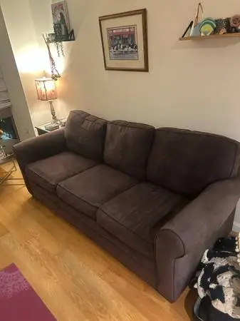 Suede pull out couch - must be able to pick up and transport yourself - willing