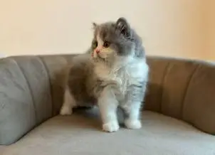 very sweet and smart