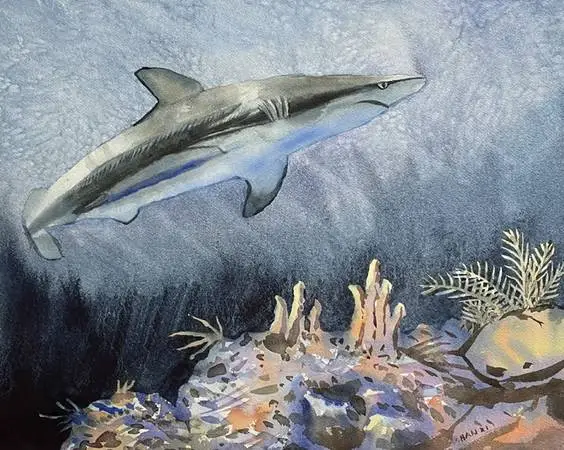 Shark, Underwater, Nautical, Original Watercolor Painting, Signed, Art