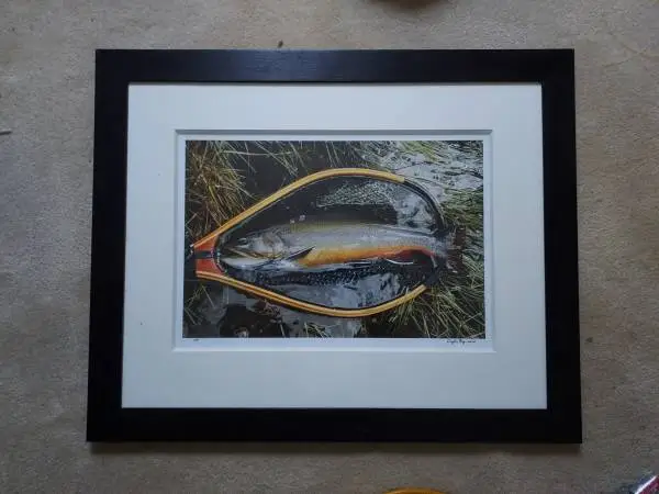 Matted Framed Picture