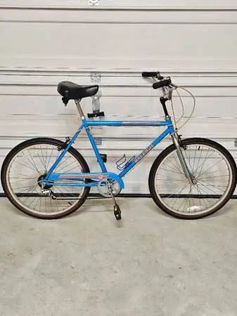 Raleigh 6 speed cruiser bike