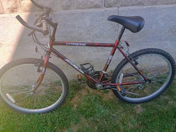 Asama Xtreme 24 bike