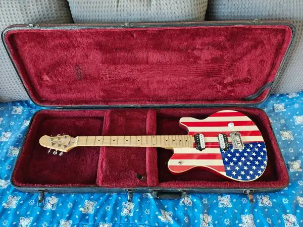Jay Turser JT-72 American Flag Guitar