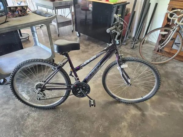 QUEST ESCAPE 24 INCH SHIFTS AND BRAKES FINE