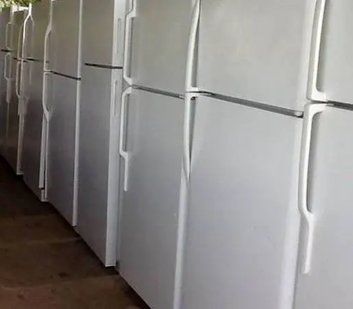 Bottom refrigerator with top freezer fridge