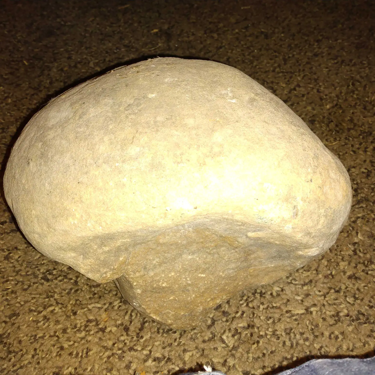 Natural Mushroom-Shaped Stone Concretion