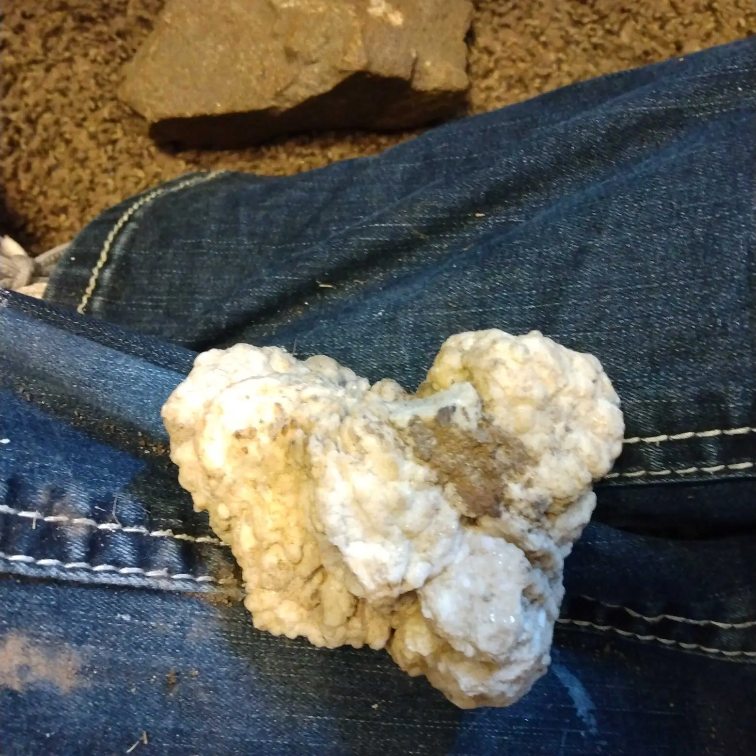 Missouri Druzy Quartz (Druzy Quartz on Botryoidal Chalcedony)