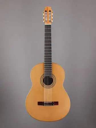 Litchfield Concert Classical Guitar