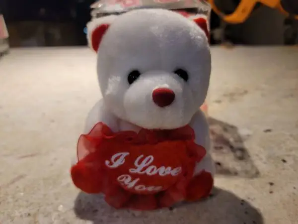 Small White Valentines Day Bear