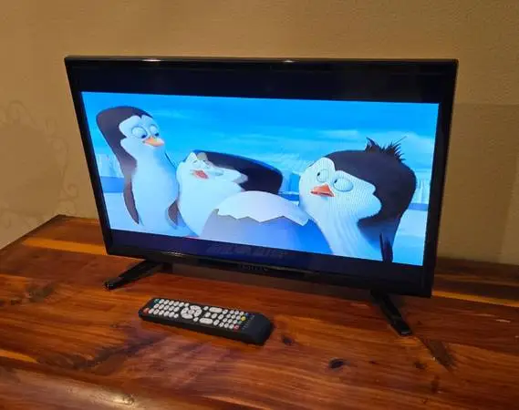 Proscan PLED2435A 24 HD LED TV With HDMI & Remote