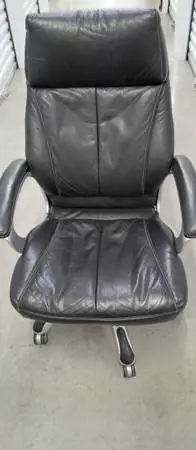 Executive Office Chair