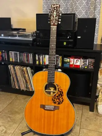Blue ridge 12 string guitar