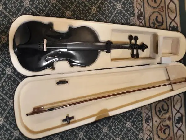 Acoustic 4/4 Violin With Carry Case