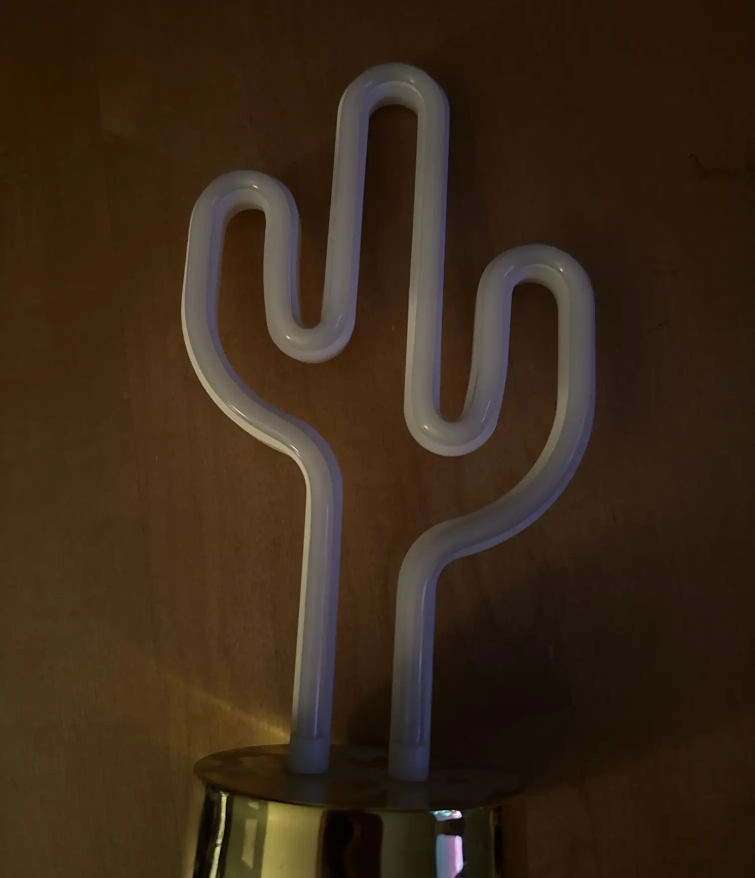 Light up Cactus