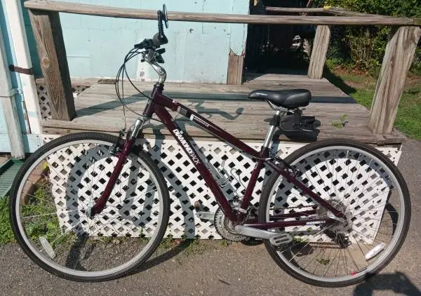 Diamondback Edgewood XL