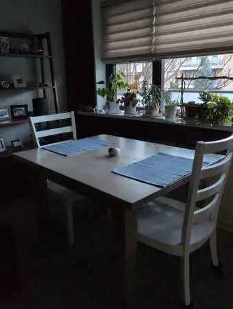 Farm Table and 2 chairs - like New - Dining Room