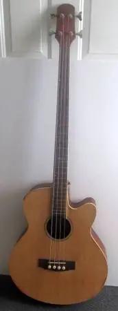 Trinity River Acoustic /Electric Bass Guitar Made in the USA.