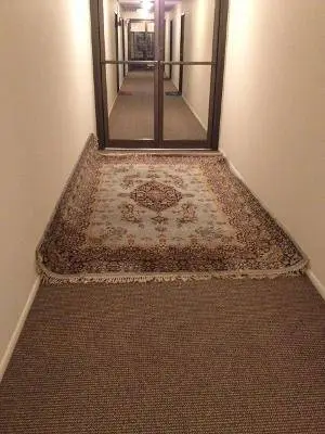 Oriental Rug