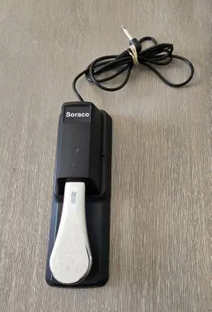 Sustain Pedal with polarity switch