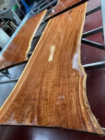 Live Edge Wood Slabs