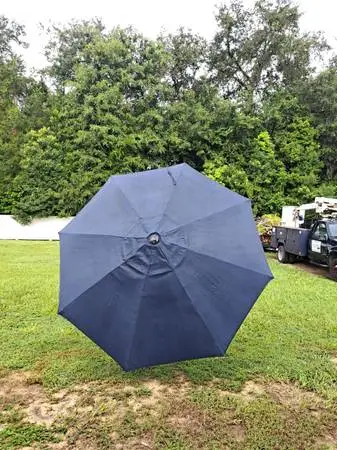 Umbrella