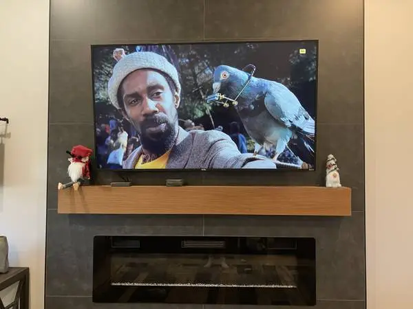 65 INCH TV