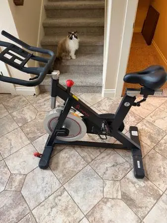 Sunny SF-B1805 exercise bike