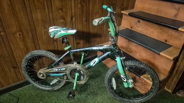 Dynacraft Surge 18 Bicycle