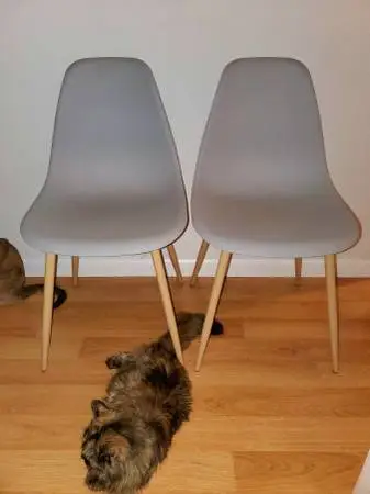 2 Like new Mid Century Modern style Chairs. Chair is solid easy clean.