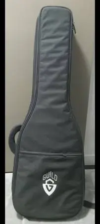 Guild padded soft case