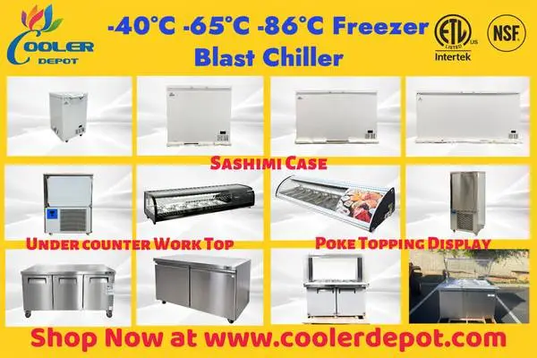 Freezer Blast Chiller