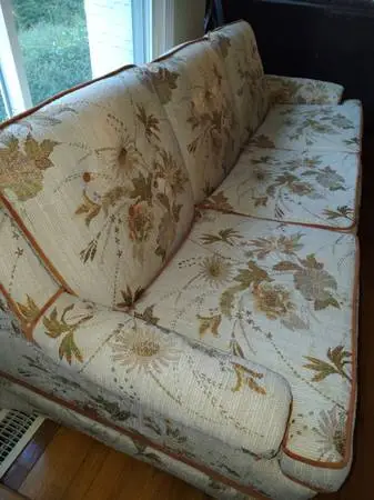 Vintage Couch and Chair