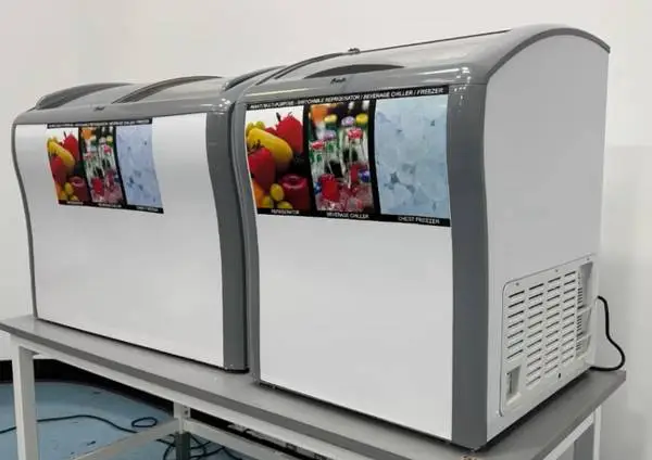 Pair of Avanti Commercial Merchandiser Freezers