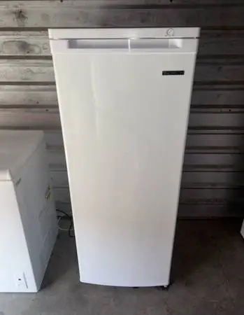 White Thomas Standing Freezer