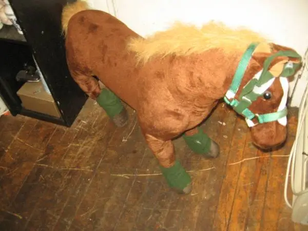 PONY Large Stuffed W/Bridle
