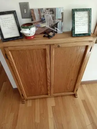 OAK FINISH CD/DVD OR WHATEVER CABINET, EXCELLENT CONDITION