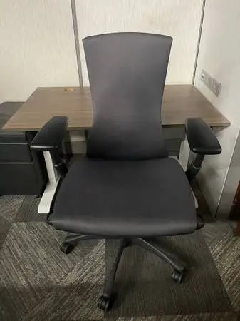 Herman Miller Embody Chair – Gray