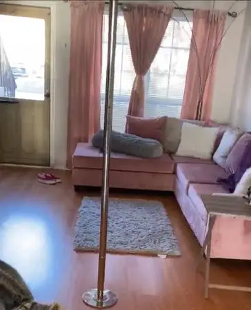 Pink Sectional Couch, Pillows & Curtains