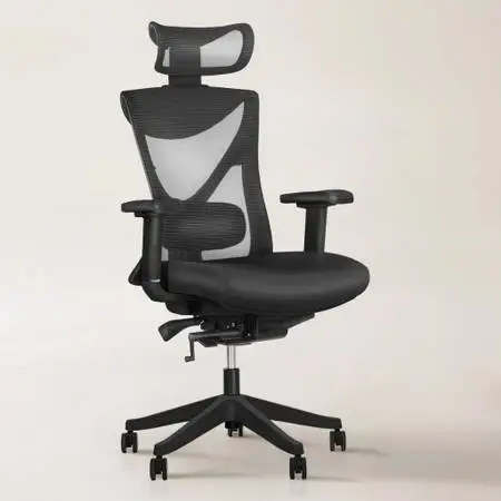 Ergonomic Office Chair with Neck Support