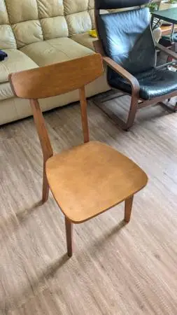Mid Century Modern Dining Room Chairs